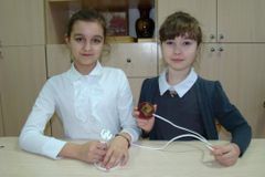 Как помочь растениям не погибнуть от холода?