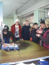 Все работы хороши - выбирай на вкус