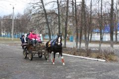 Осенний лагерь.