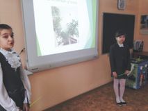 Как помочь растениям не погибнуть от холода?