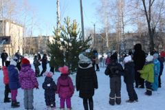 Новогодные забавы.