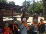 Пришкольный лагерь, 3 июня. Посещение зоопарка Лимпопо