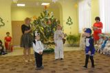 весёлые пингвины.