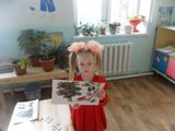 Знакомимся с деревом