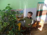 это герань
