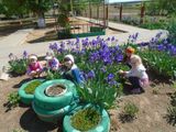 какая красота