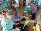 сеим помидоры