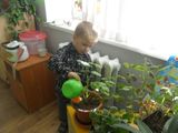 надо же полить