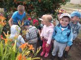 любуемся цветами