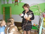 чего не хватает у ежа
