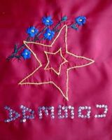 Акция "Знамя Победы"