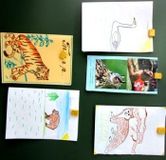 НЕДЕЛЯ ЭКОЛОГИИ