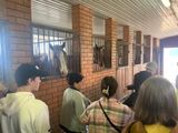 Сегодня воспитанники ДОЛ «Эрудит» посетили конезавод в селе Оброчное. 