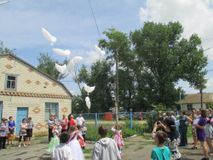 улетают голуби,как наши выпускники