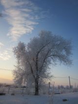 Зима на школьном дворе. 2018 год