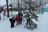 Где же наш цветник из льдинок? (6 группа)