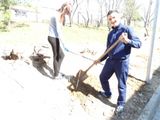 День древонасаждения