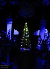 фото:И.Воробьева