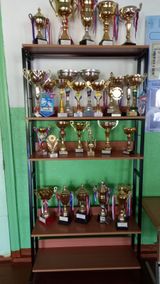 Экспозиция "Спортивных наград" 