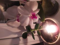  #свечапамяти