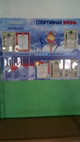 Экспозиция "Наша спортивная жизнь"