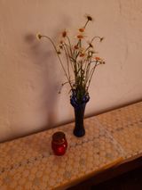 #региональный_хэштег